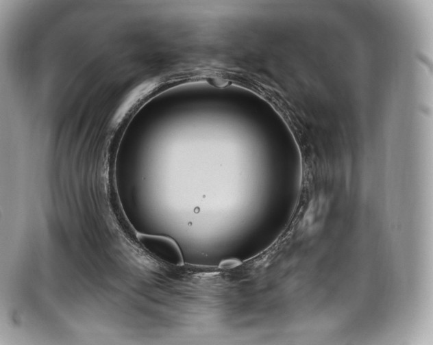 X0000099300054200805021240