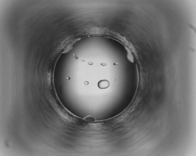 X0000099300057200805021240