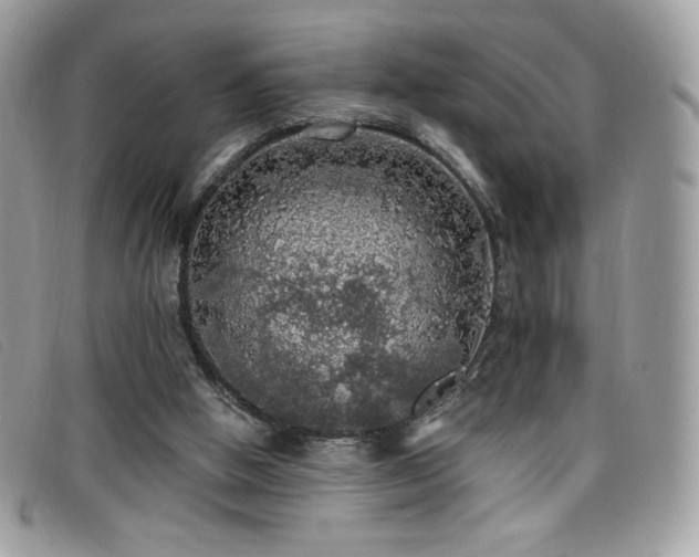 X0000099300058200805021240