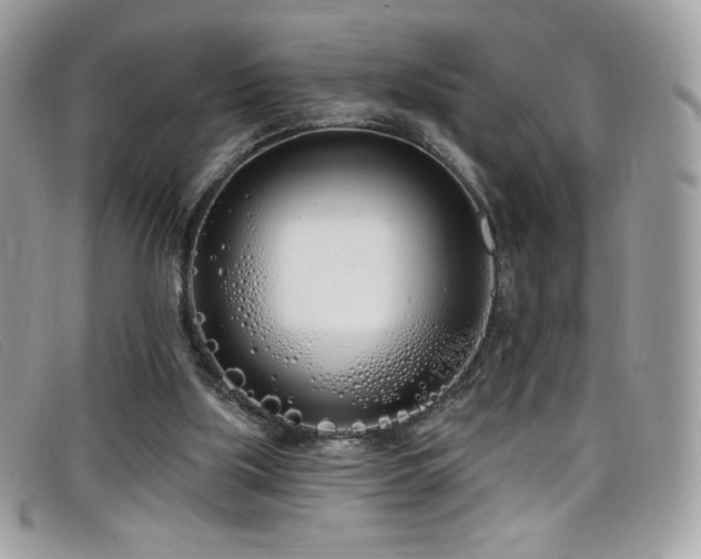 X0000099300059200805021240