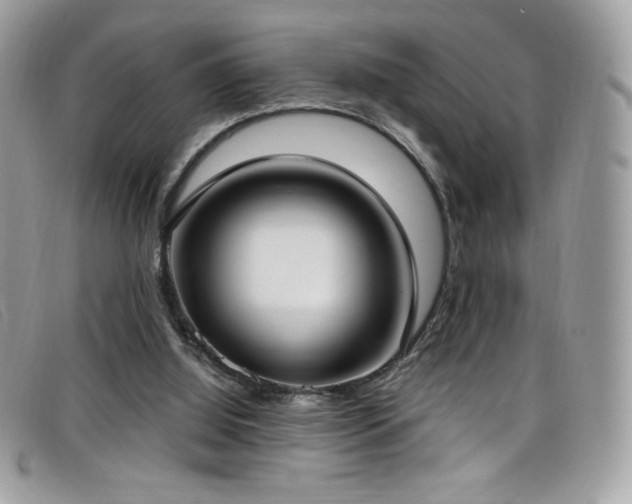 X0000099300060200805021240