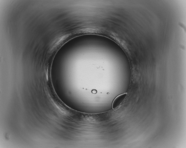 X0000099300062200805021240