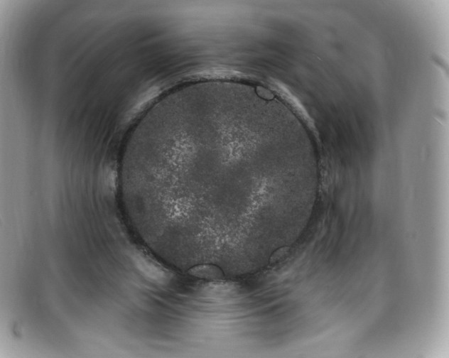 X0000099300063200805021240