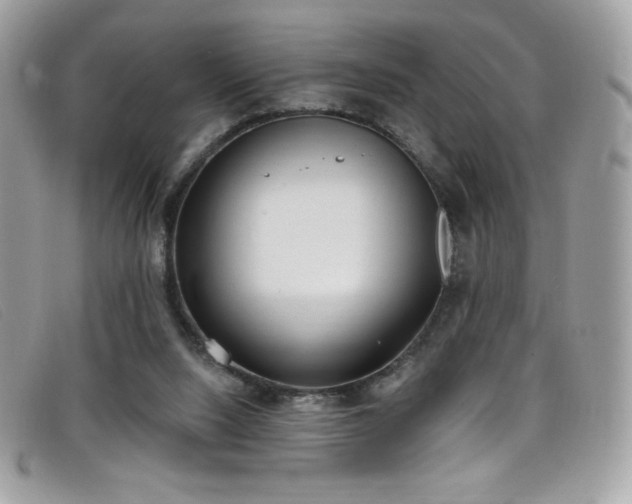 X0000099300064200805021240