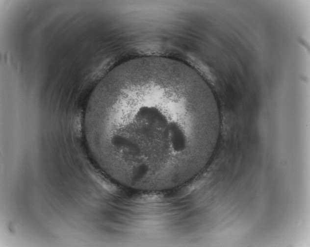 X0000099300065200805021240