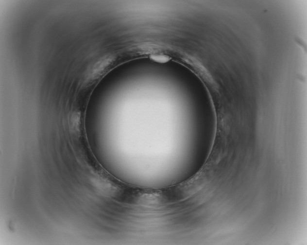 X0000099300066200805021240