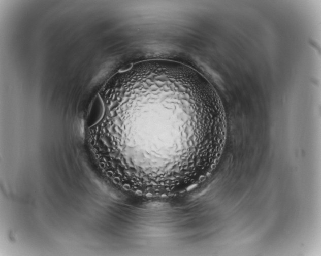 X0000099300067200805021240