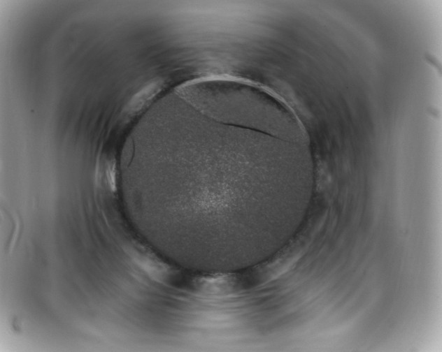 X0000099300068200805021240