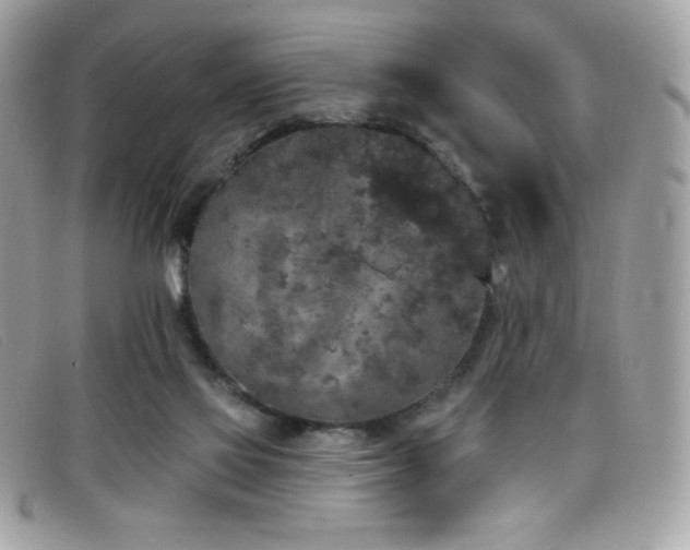 X0000099300069200805021240