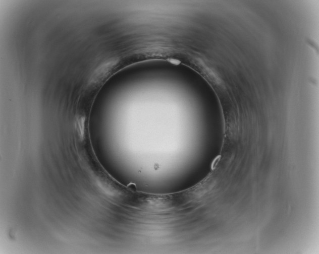 X0000099300070200805021240