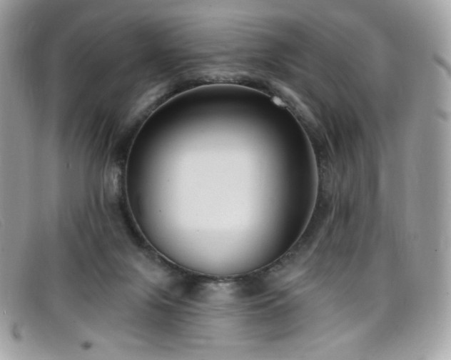 X0000099300071200805021240