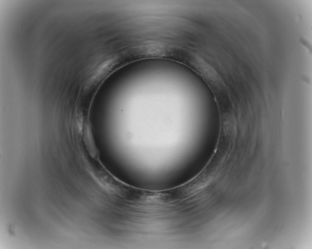 X0000099300072200805021240