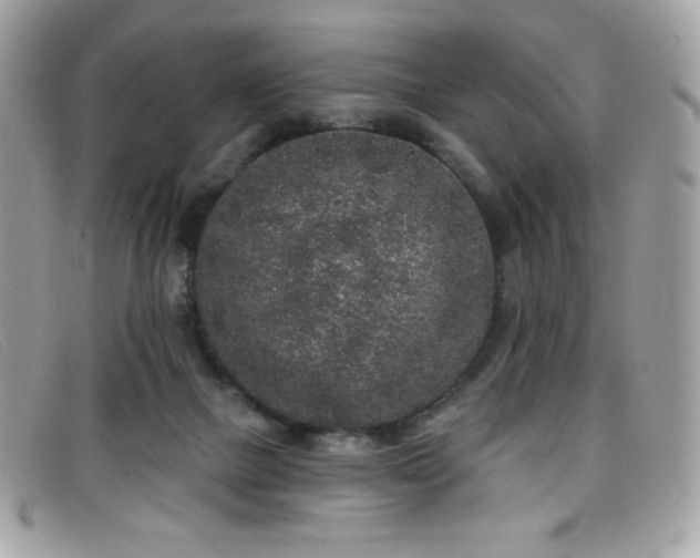 X0000099300073200805021240