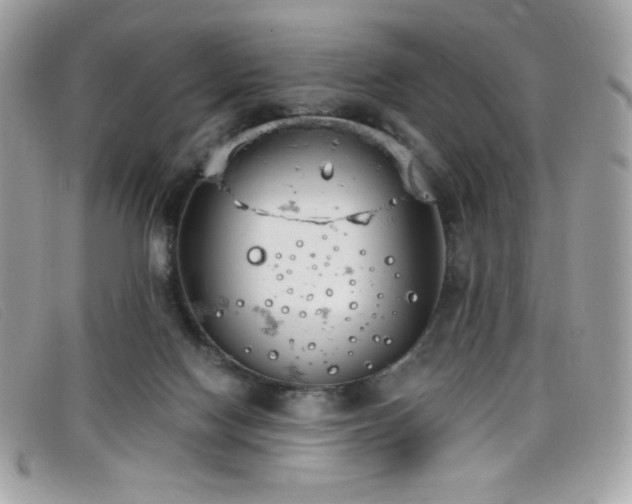 X0000099300074200805021240