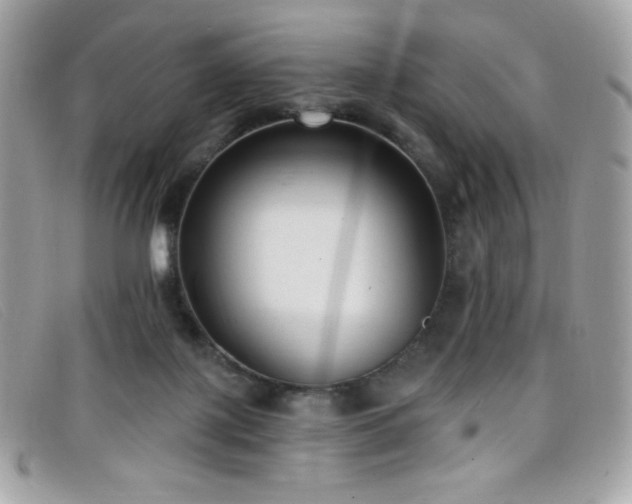 X0000099300075200805021240