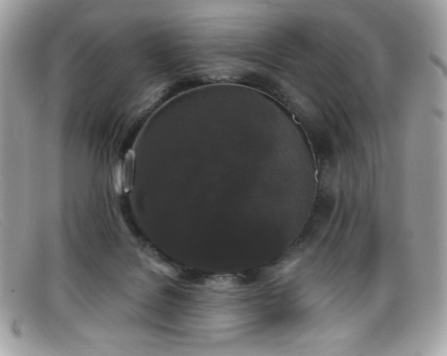 X0000099300076200805021240