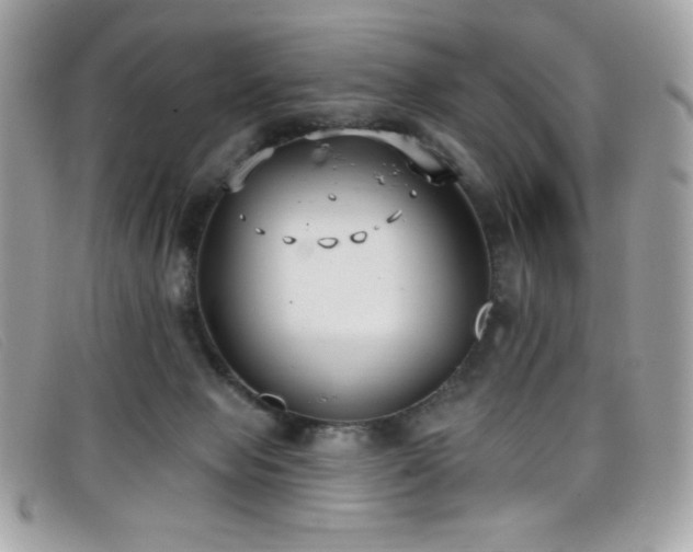 X0000099300077200805021240