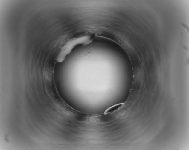 X0000099300078200805021240