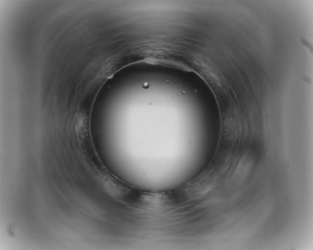 X0000099300079200805021240