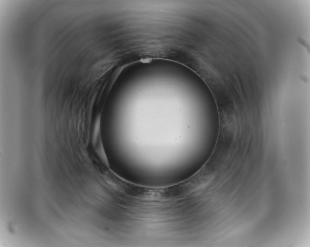 X0000099300080200805021240