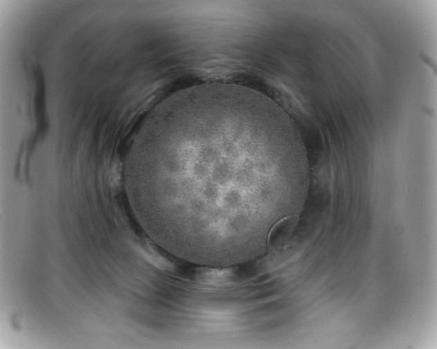 X0000099300081200805021240