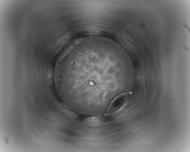 X0000099300082200805021240