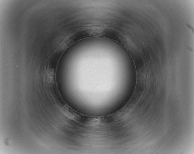 X0000099300083200805021240