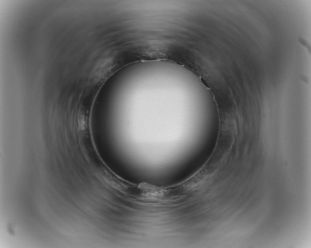 X0000099300084200805021240