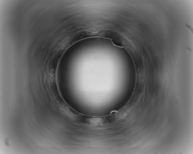 X0000099300085200805021240