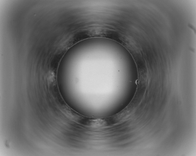 X0000099300087200805021240