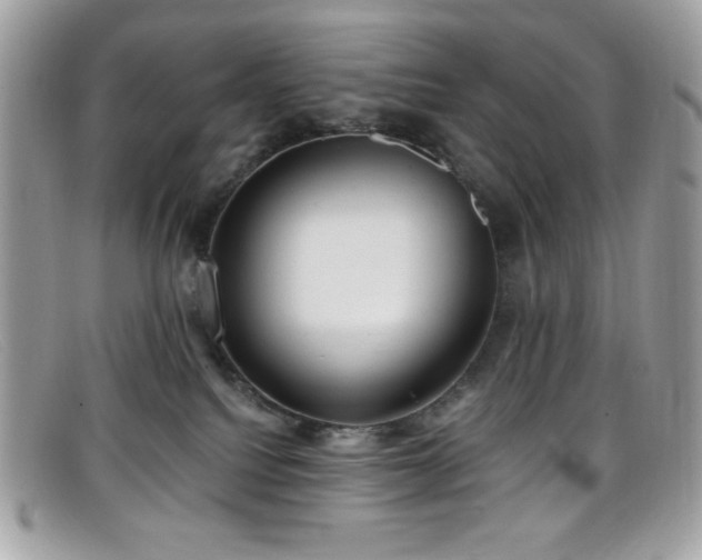 X0000099300088200805021240