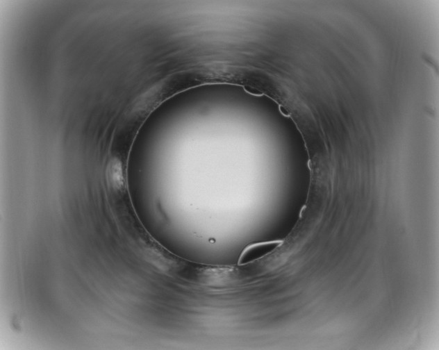 X0000099300089200805021240