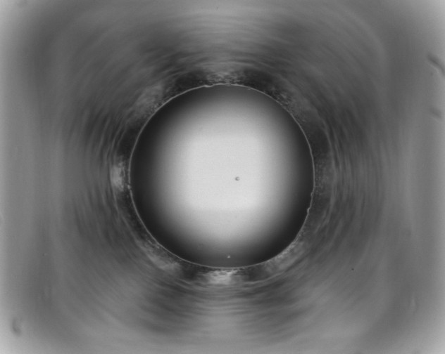 X0000099300090200805021240