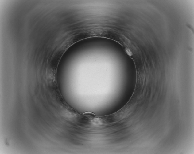 X0000099300091200805021240