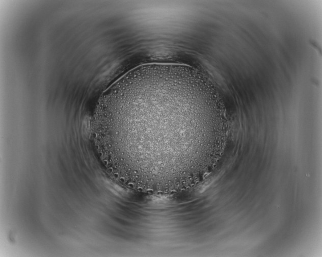 X0000099300093200805021240