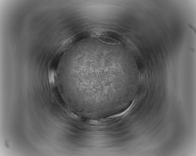 X0000099300094200805021240