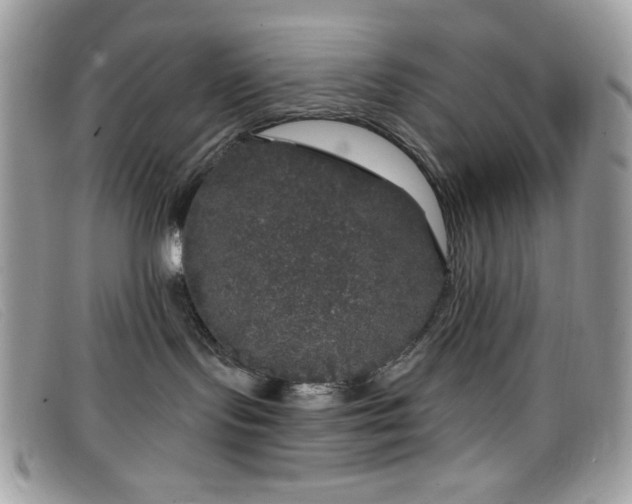 X0000099300095200805021240