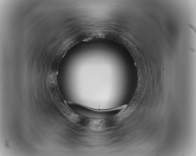 X0000099300096200805021240