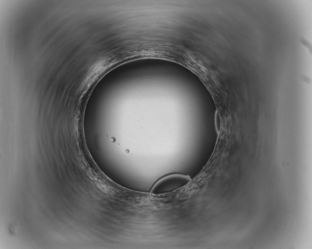 X0000099300098200805021239