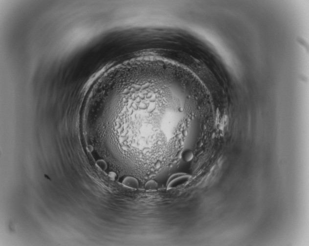 X0000099300099200805021239