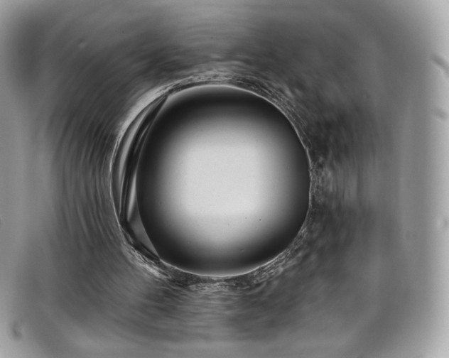 X0000099300100200805021239