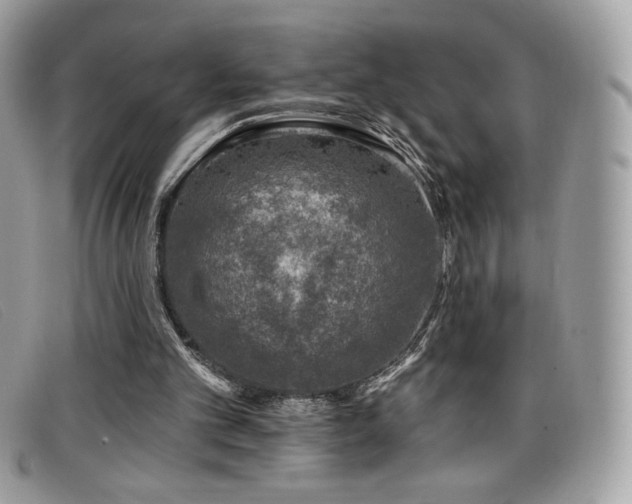 X0000099300101200805021239