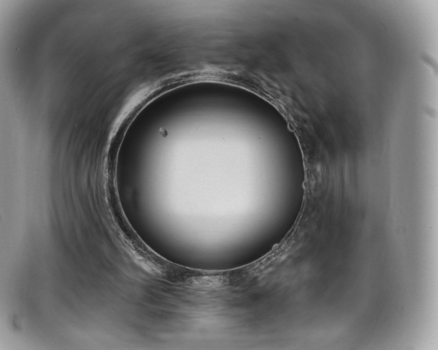 X0000099300102200805021239