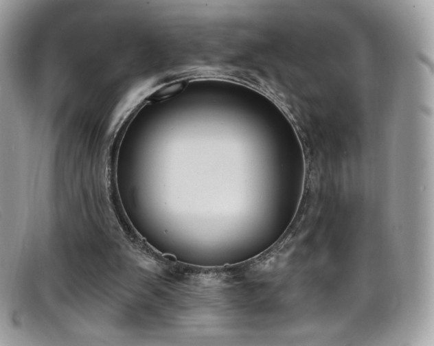 X0000099300103200805021239