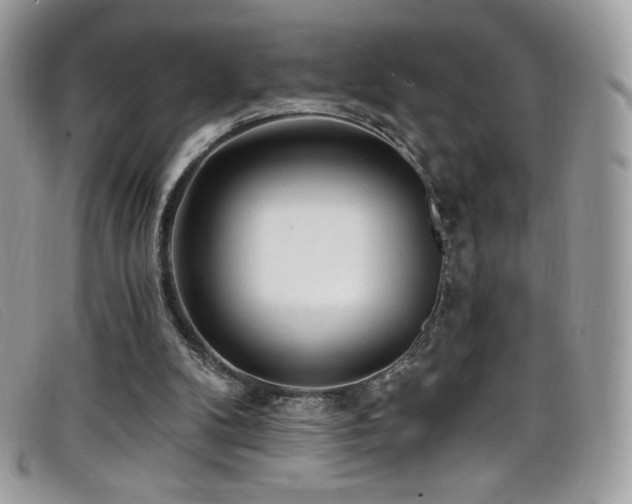 X0000099300104200805021239