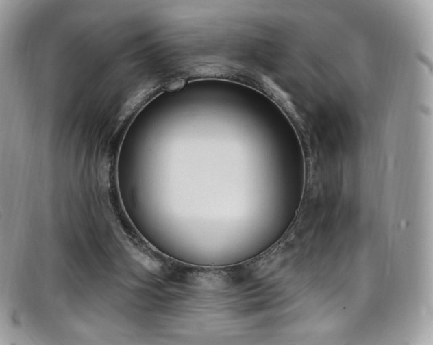 X0000099300106200805021239