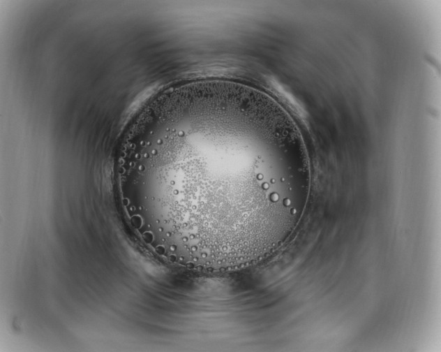 X0000099300107200805021239