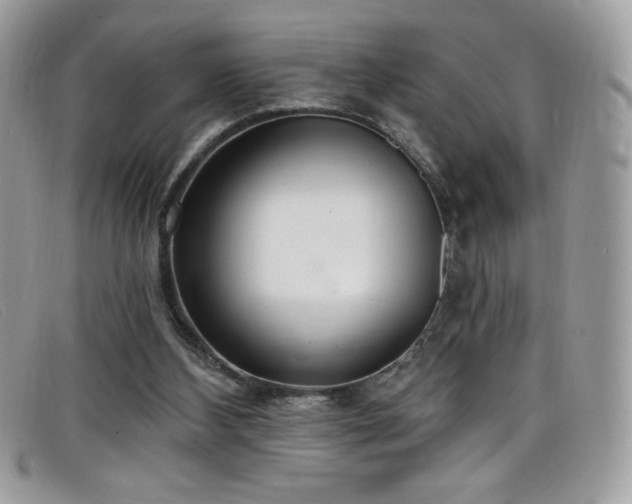 X0000099300108200805021239