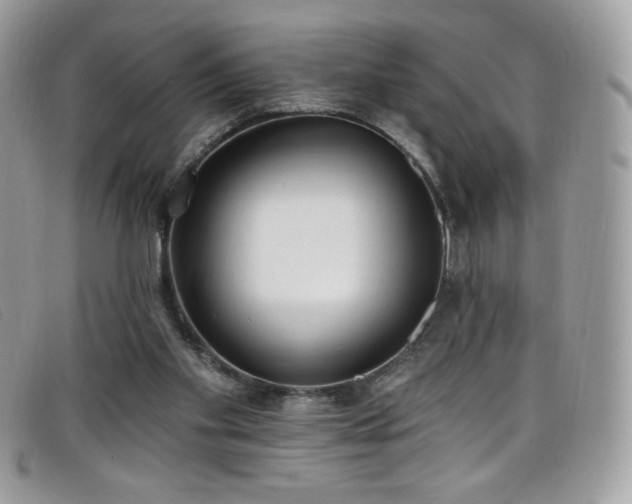 X0000099300109200805021239