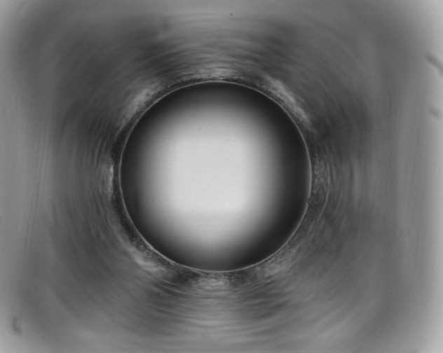 X0000099300110200805021239